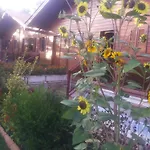 Apartamento Charming In Matas With Pool And Jacuzzi Mata (Fornos de Algodres)