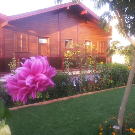 Apartman Charming In Matas With Pool And Jacuzzi *