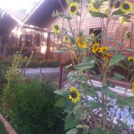 Apartman Charming In Matas With Pool And Jacuzzi Mata