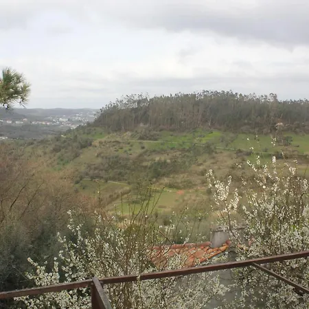 Charming In Matas With Pool And Jacuzzi Apartamento Mata (Fornos de Algodres)