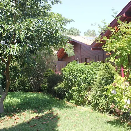 Charming In Matas With Pool And Jacuzzi شقة *