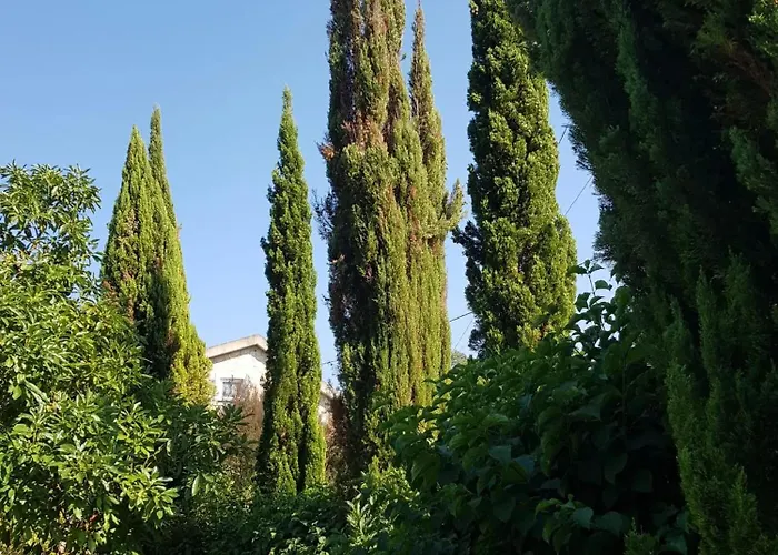 Charming In Matas With Pool And Jacuzzi Apartman